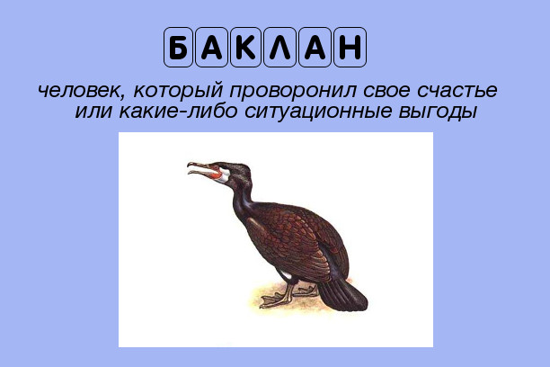 http://www.shytok.net/uploads/baklan.jpg