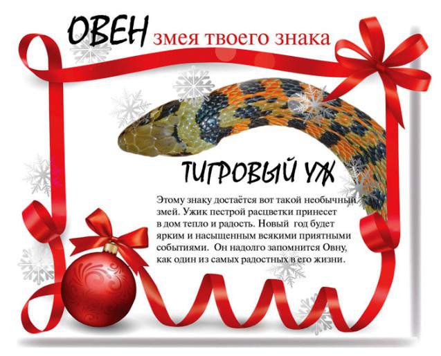 Змеиный гороскоп на 2013