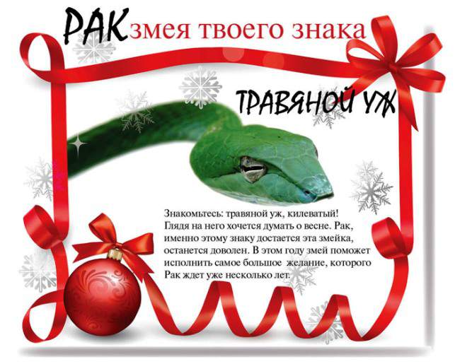 Змеиный гороскоп на 2013