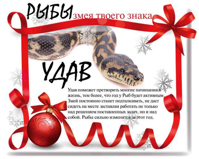 Змеиный гороскоп на 2013