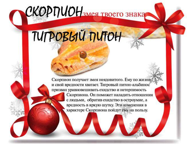 Змеиный гороскоп на 2013