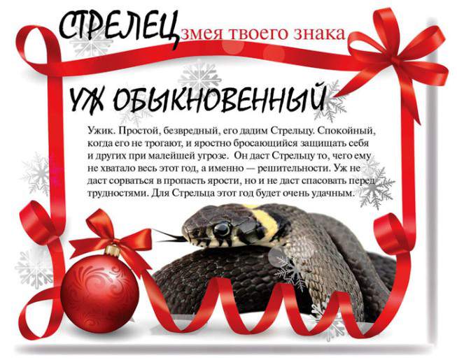 Змеиный гороскоп на 2013