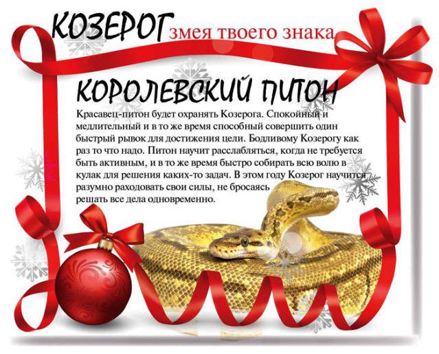 Змеиный гороскоп на 2013