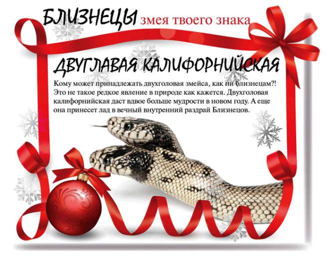 Змеиный гороскоп на 2013