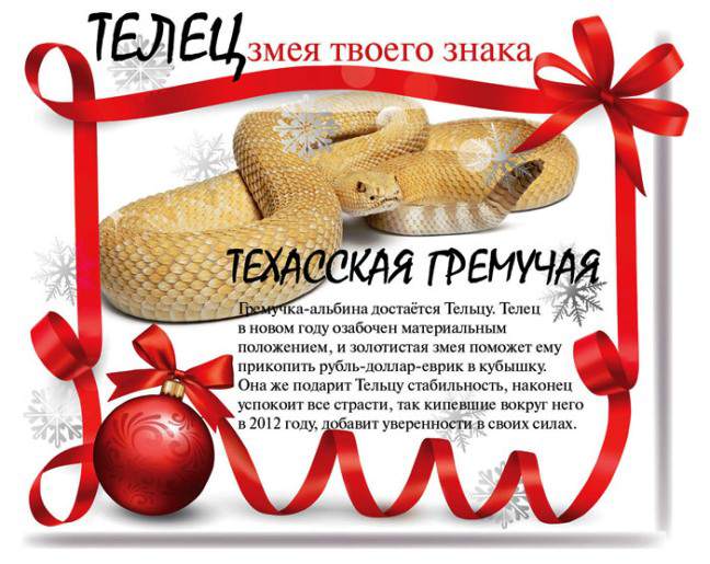 Змеиный гороскоп на 2013