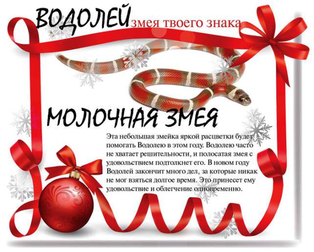 Змеиный гороскоп на 2013