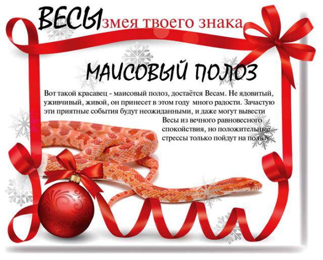 Змеиный гороскоп на 2013