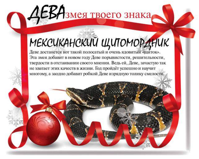 Змеиный гороскоп на 2013
