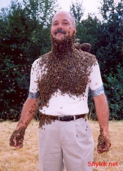 Люди и пчелы (фото), photo:12