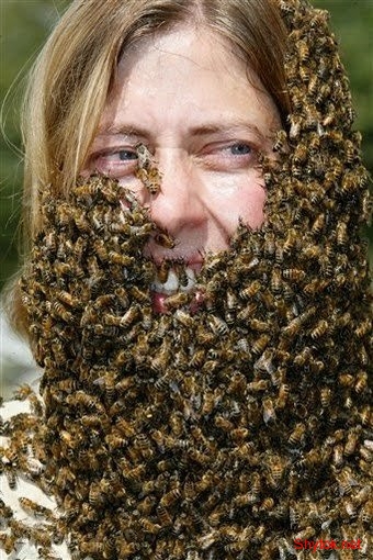 Люди и пчелы (фото), photo:4