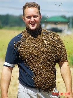 Люди и пчелы (фото), photo:9