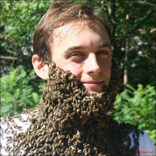 Люди и пчелы (фото), photo:22
