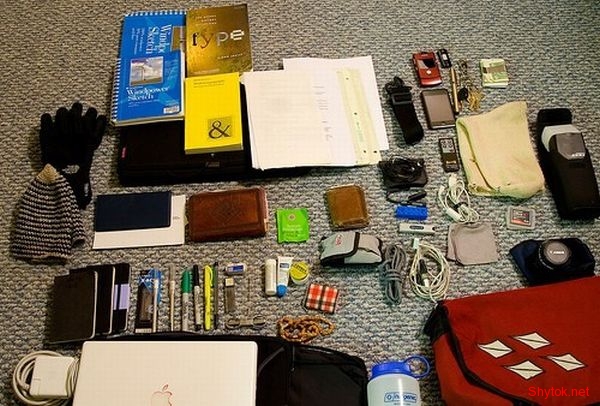 Содержимое женской сумочки (фото), photo:2