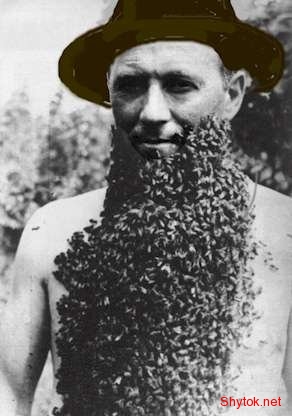 Люди и пчелы (фото), photo:13