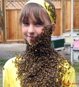 Люди и пчелы (фото), photo:10