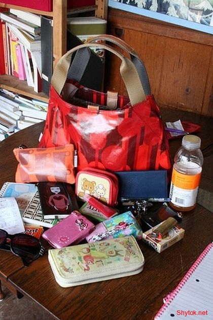 Содержимое женской сумочки (фото), photo:14