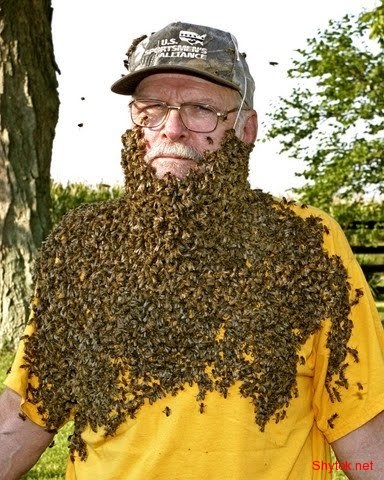 Люди и пчелы (фото), photo:6