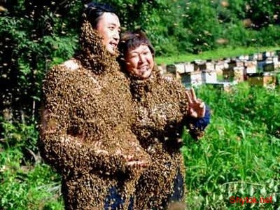 Люди и пчелы (фото), photo:3