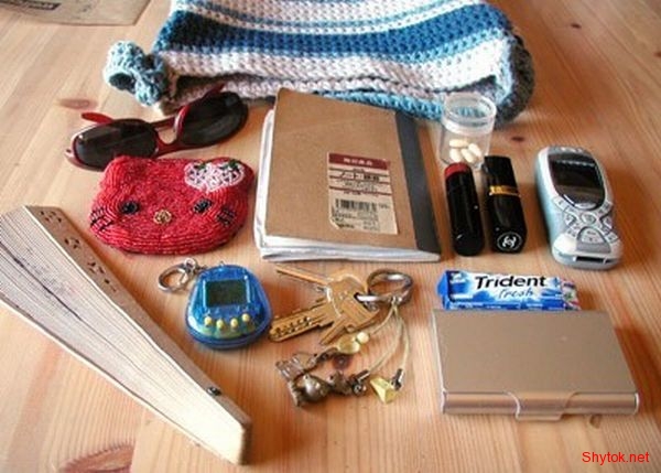 Содержимое женской сумочки (фото), photo:7