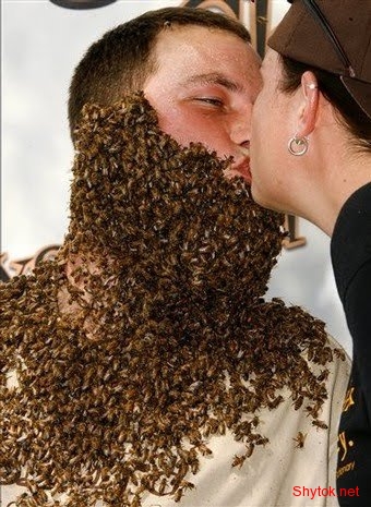 Люди и пчелы (фото), photo:11