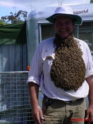 Люди и пчелы (фото), photo:20