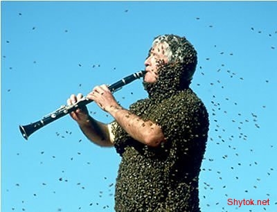 Люди и пчелы (фото), photo:14