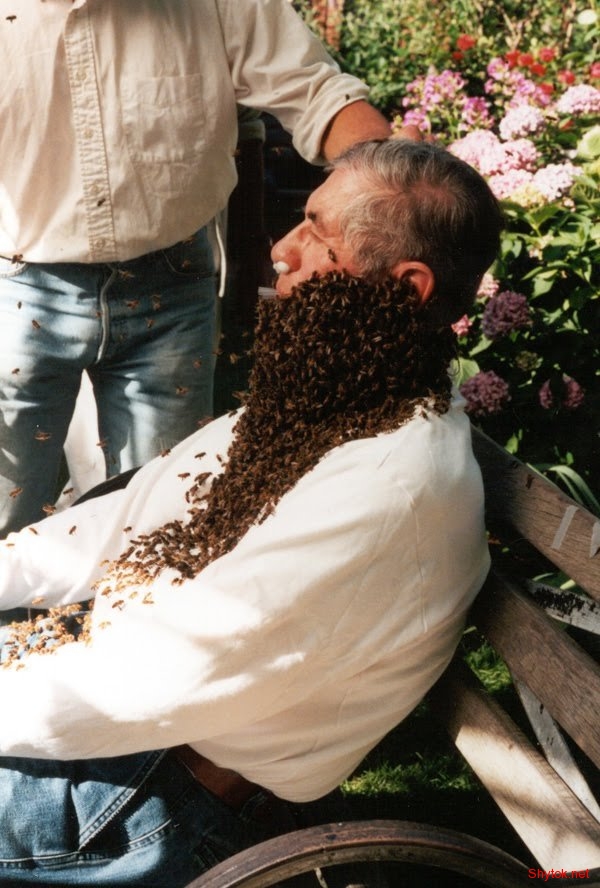 Люди и пчелы (фото), photo:16