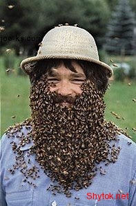 Люди и пчелы (фото), photo:7