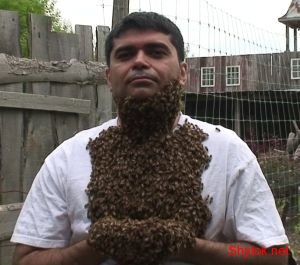 Люди и пчелы (фото), photo:8