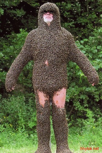 Люди и пчелы (фото), photo:1