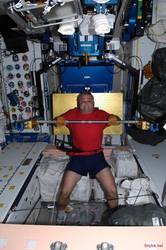 Русский космонавт Максим Сураев открыл первый космический блог.