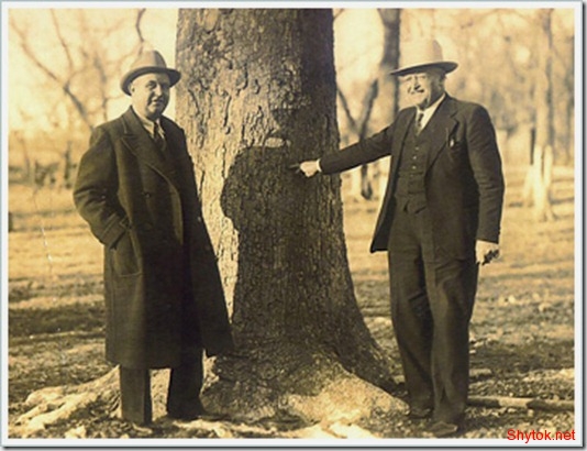 совпадение или случайность