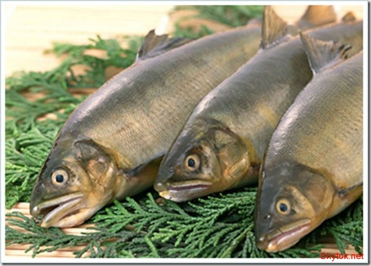 совпадение или случайность