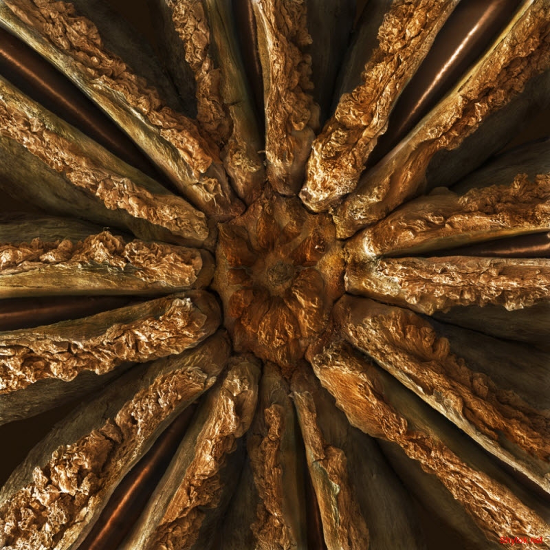 еда под микроскопом