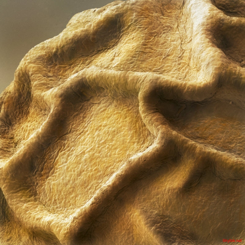 еда под микроскопом