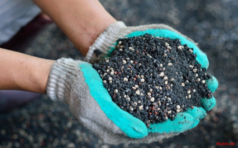 вещи котоыре могут исчезнуть